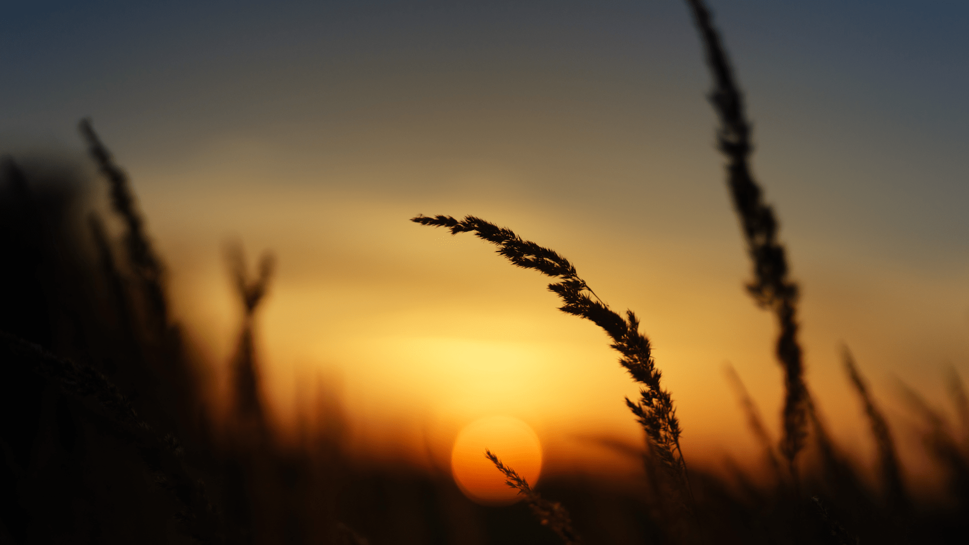 imagen destacada del artículo "Inteligencia Artificial en ventas: usos, beneficios y ejemplos"